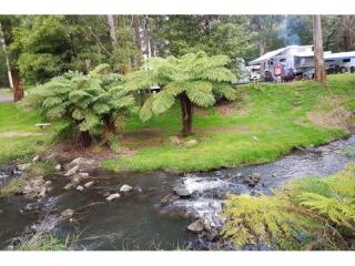 Caravan Parks For Sale - 1 large
