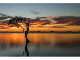 Management Rights For Sale - 1 large