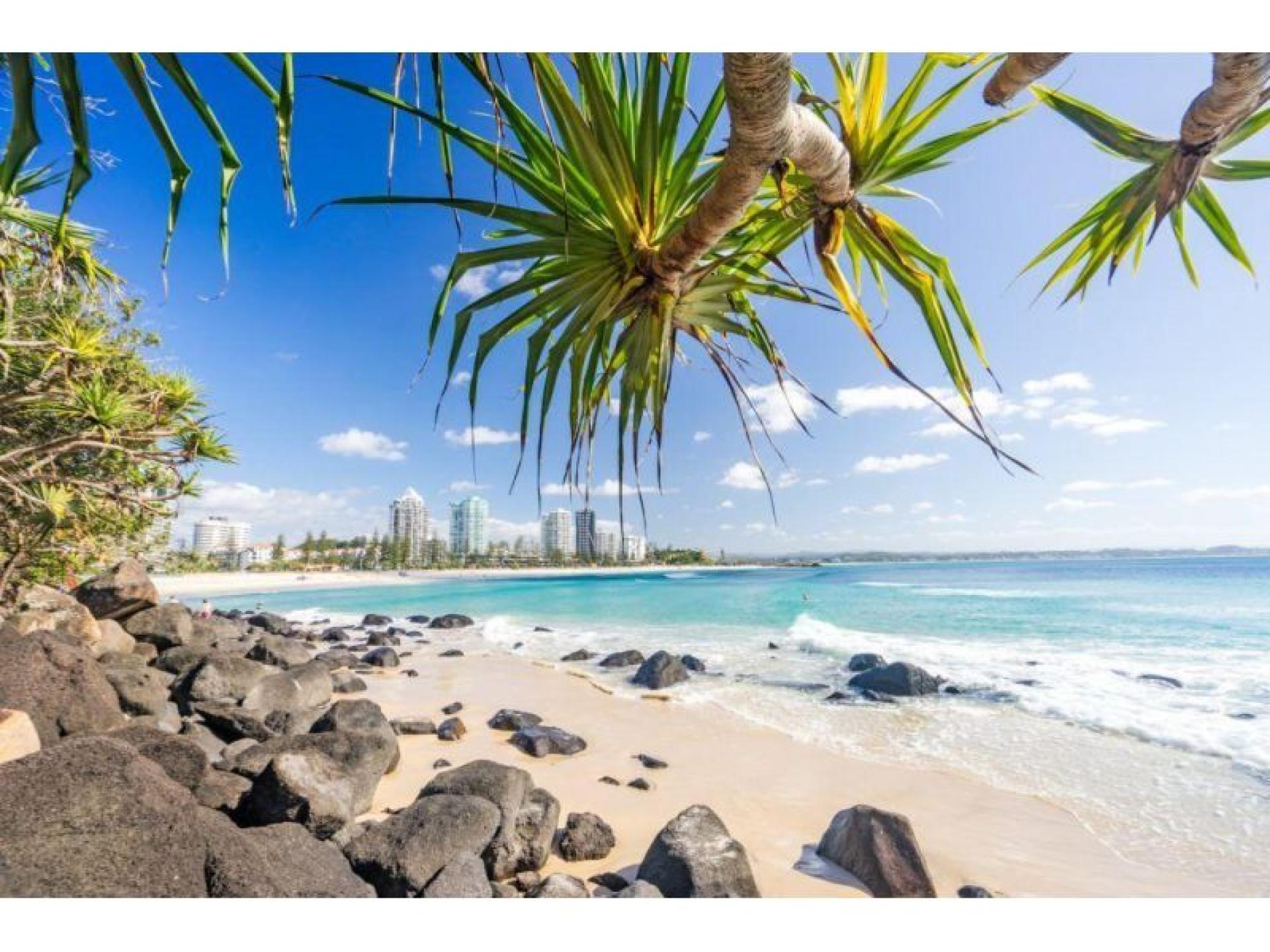 Management Rights for sale Coolangatta