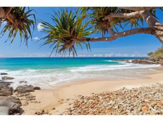 Management Rights For Sale - 1 large