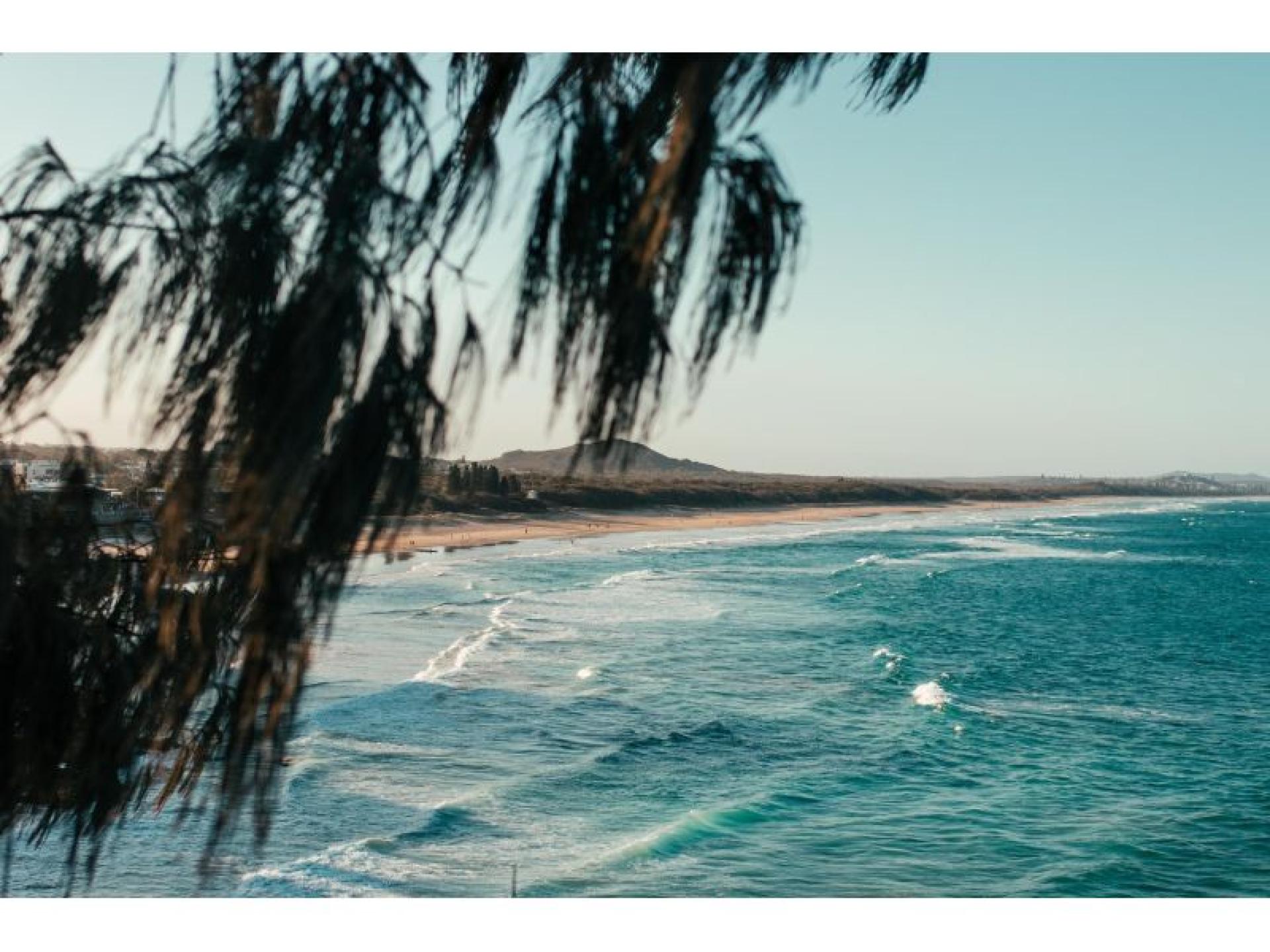 Management Rights for sale Coolum Beach