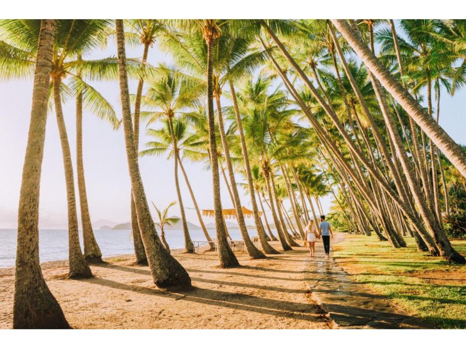 Management Rights for sale Cairns North