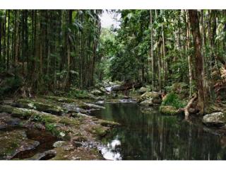 Management Rights For Sale - 1 large