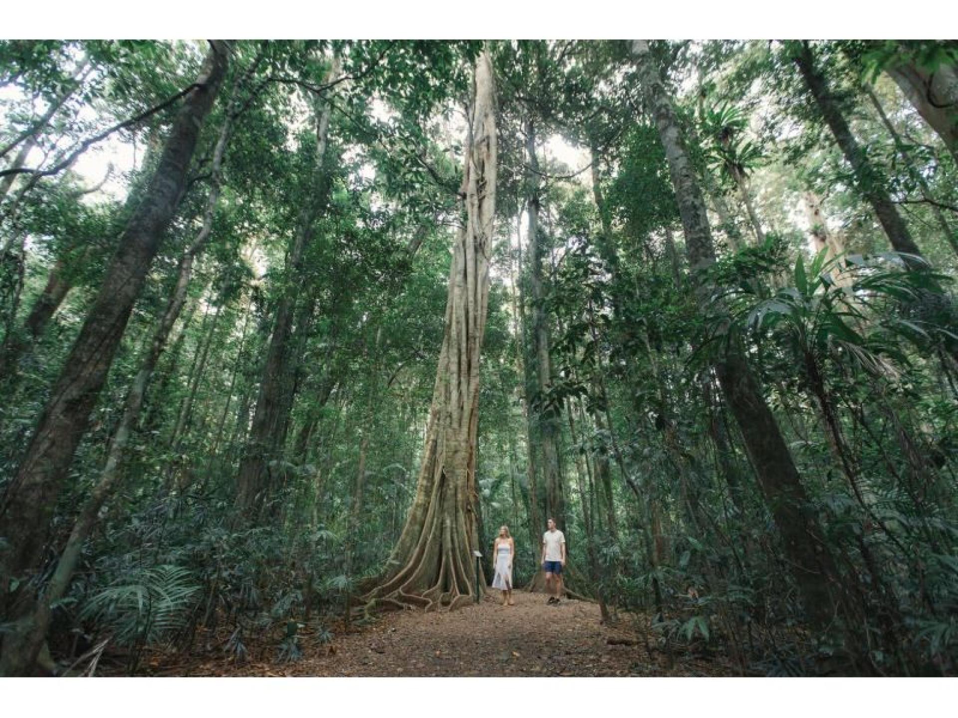 Management Rights for sale Buderim