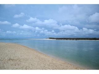 Management Rights For Sale - 1 large