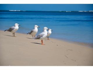 Management Rights For Sale - 1 large