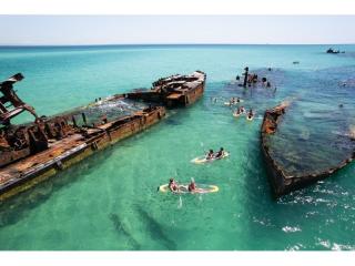 Management Rights For Sale - 1 large