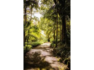 Management Rights For Sale - 1 large