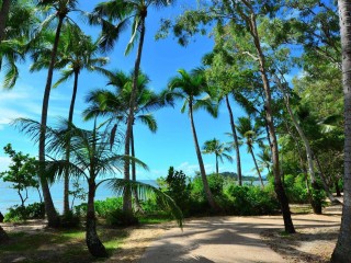 Management Rights For Sale - 1 large