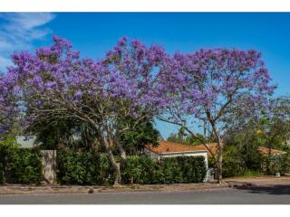 Management Rights For Sale - 1 large