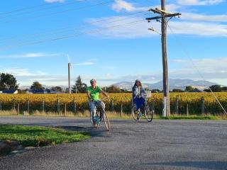 Caravan Parks For Sale - 1 large