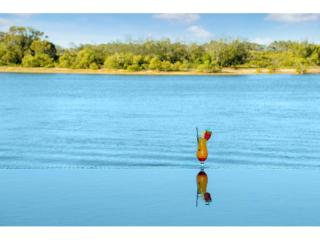 Management Rights For Sale - 1 large