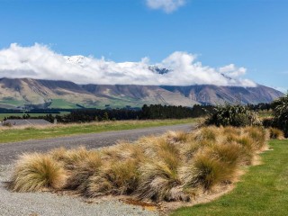 Management Rights For Sale - 1 large