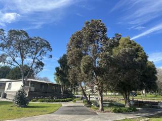 Motels For Sale - 1 large