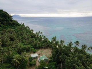 Bed and Breakfasts For Sale - 1 large