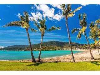 Luxury Whitsundays Resort Business with $463 Net Profit - ID 9194