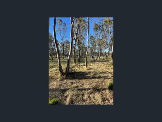 Caravan Parks For Sale - 1 large