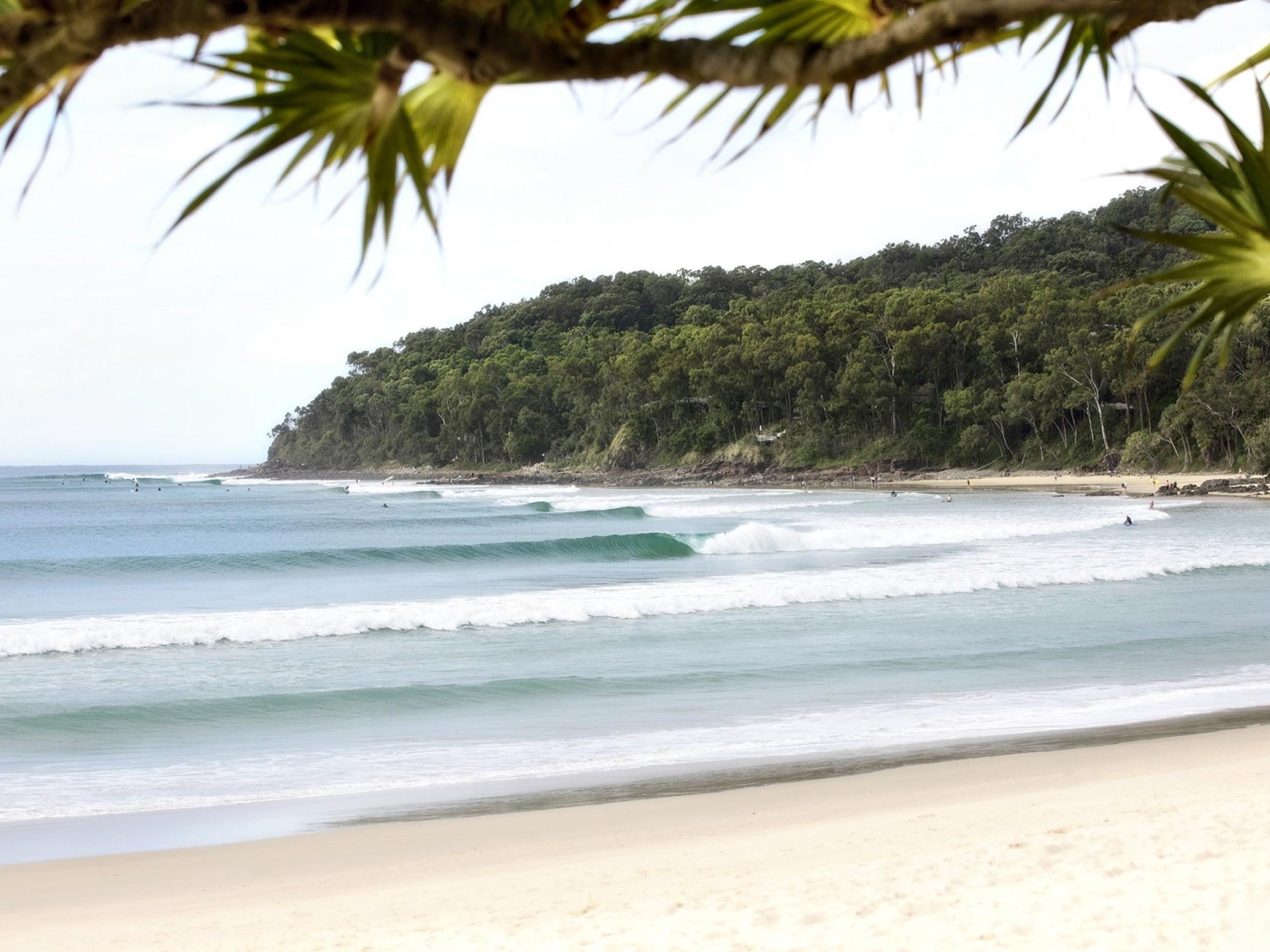 Management Rights for sale Noosa Heads