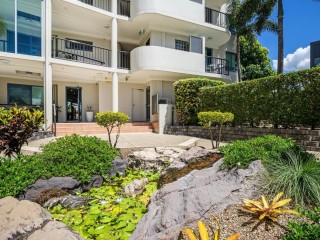 Management Rights For Sale - 1 large