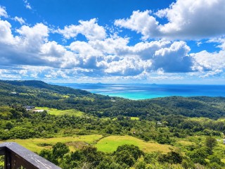 Management Rights For Sale - 1 large
