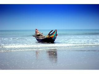 Management Rights For Sale - 1 large