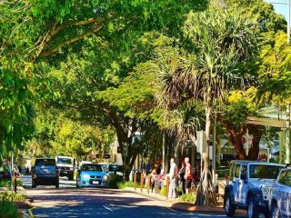 Management Rights For Sale - 1 large