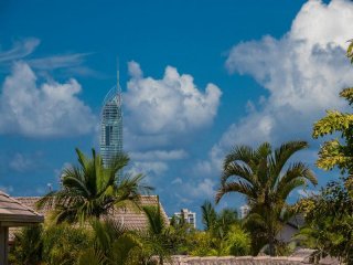 Management Rights For Sale - 1 large