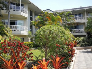 Management Rights For Sale - 1 large