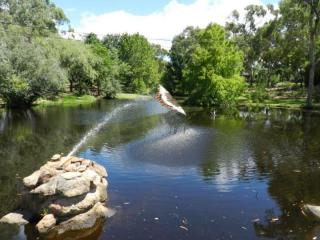 Motels For Sale - 1 large