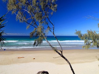 Management Rights For Sale - 1 large