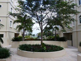 Management Rights For Sale - 1 large