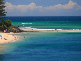 Management Rights For Sale - 1 large