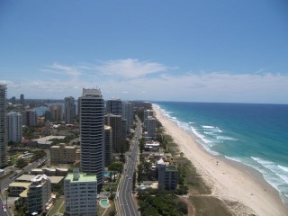 Management Rights For Sale - 1 large