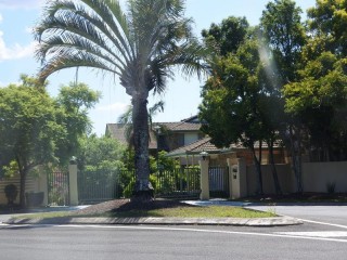 Management Rights For Sale - 1 large