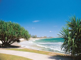 Management Rights For Sale - 1 large