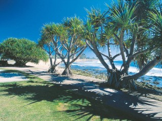 Management Rights For Sale - 1 large