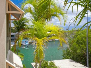 Management Rights For Sale - 1 large