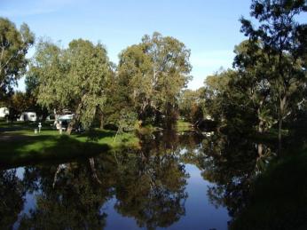 Caravan Parks For Sale - 1 large