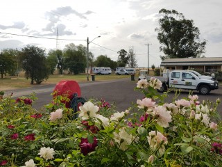 Caravan Parks For Sale - 1 large