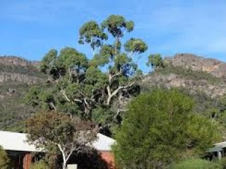 Motels For Sale - 1 large