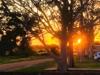 Motels For Sale - 1 large